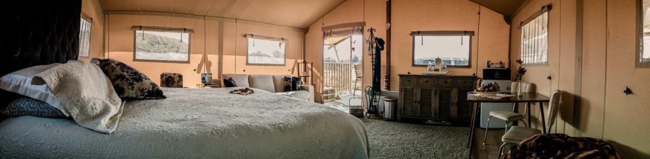 Country Retreat Glamping Hotel นิวพลีมัธ ภายนอก รูปภาพ