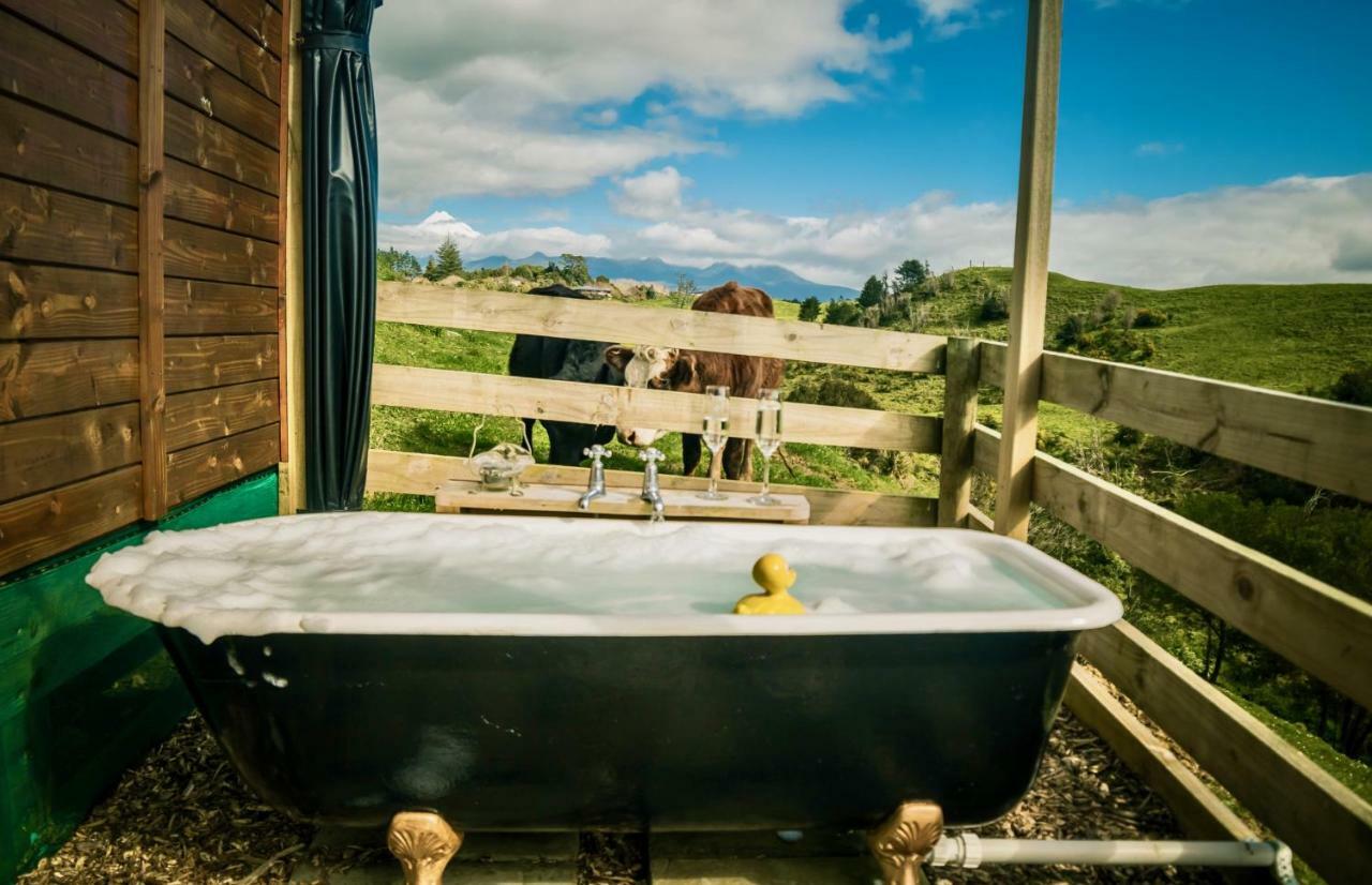Country Retreat Glamping Hotel นิวพลีมัธ ภายนอก รูปภาพ
