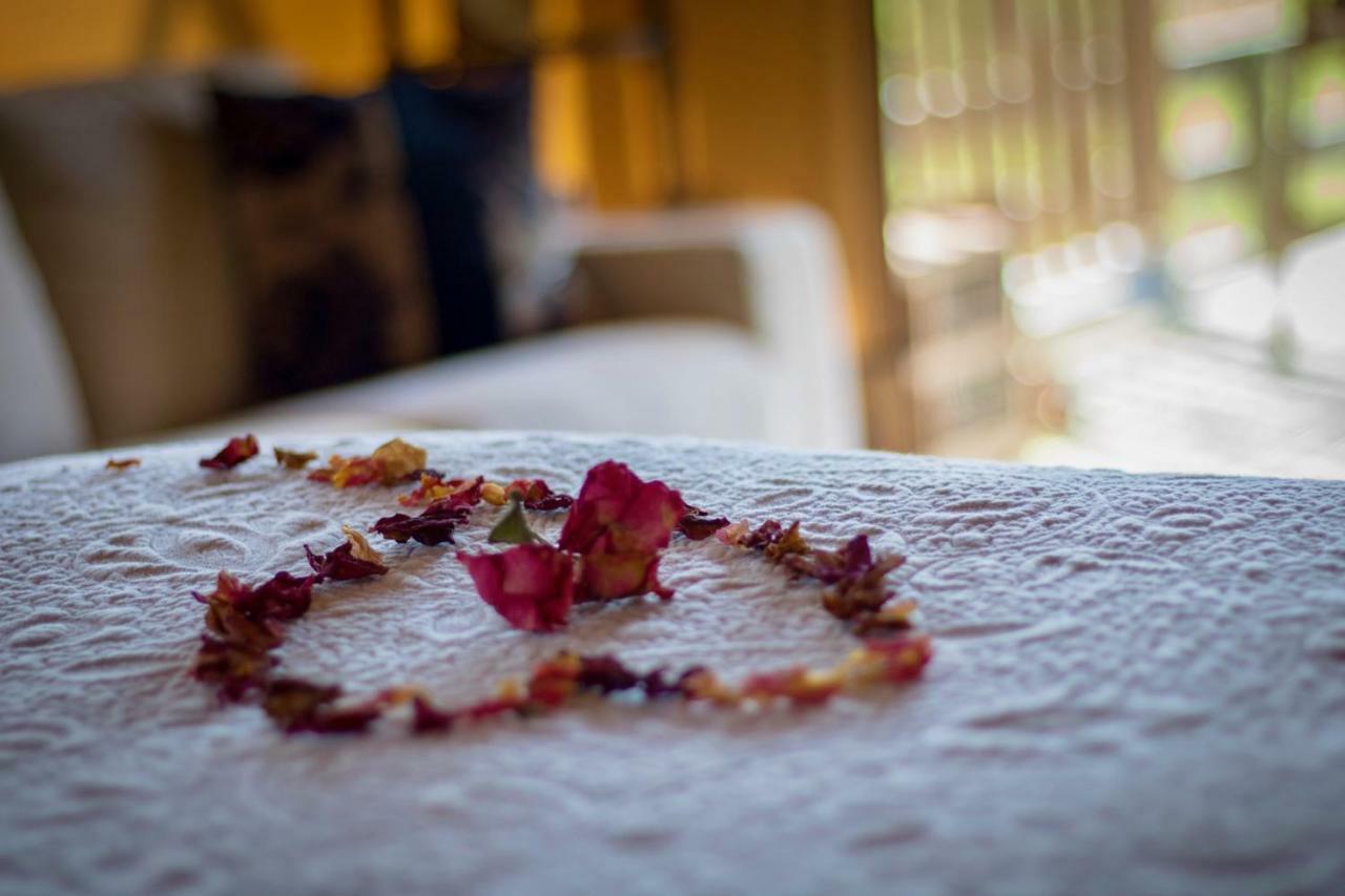 Country Retreat Glamping Hotel นิวพลีมัธ ภายนอก รูปภาพ